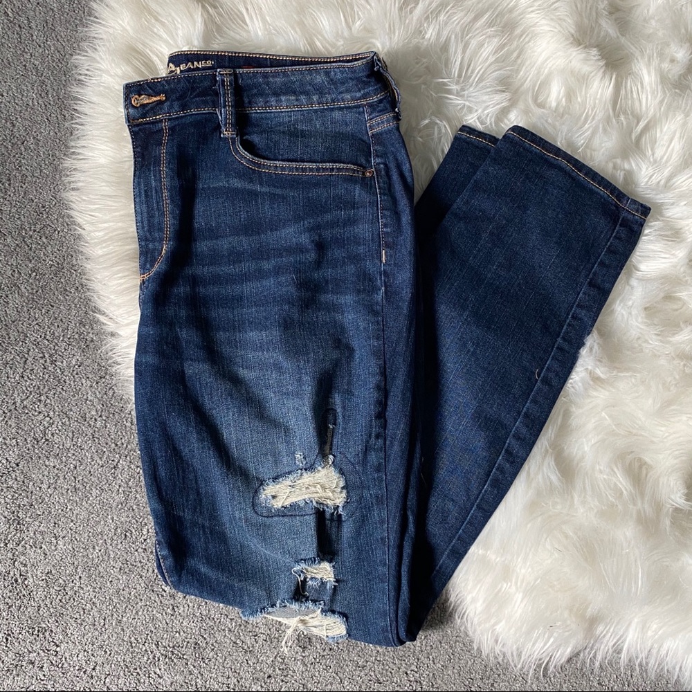 Arizona Distressed Jeans - Hi Rise